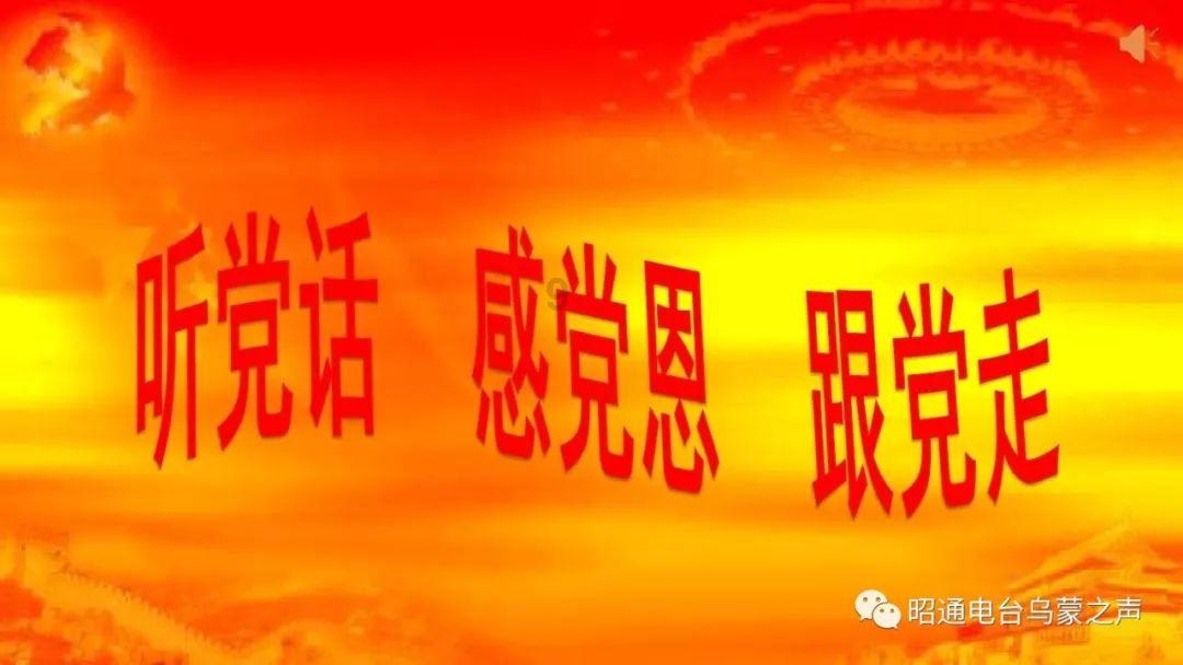 疯狂的小偷